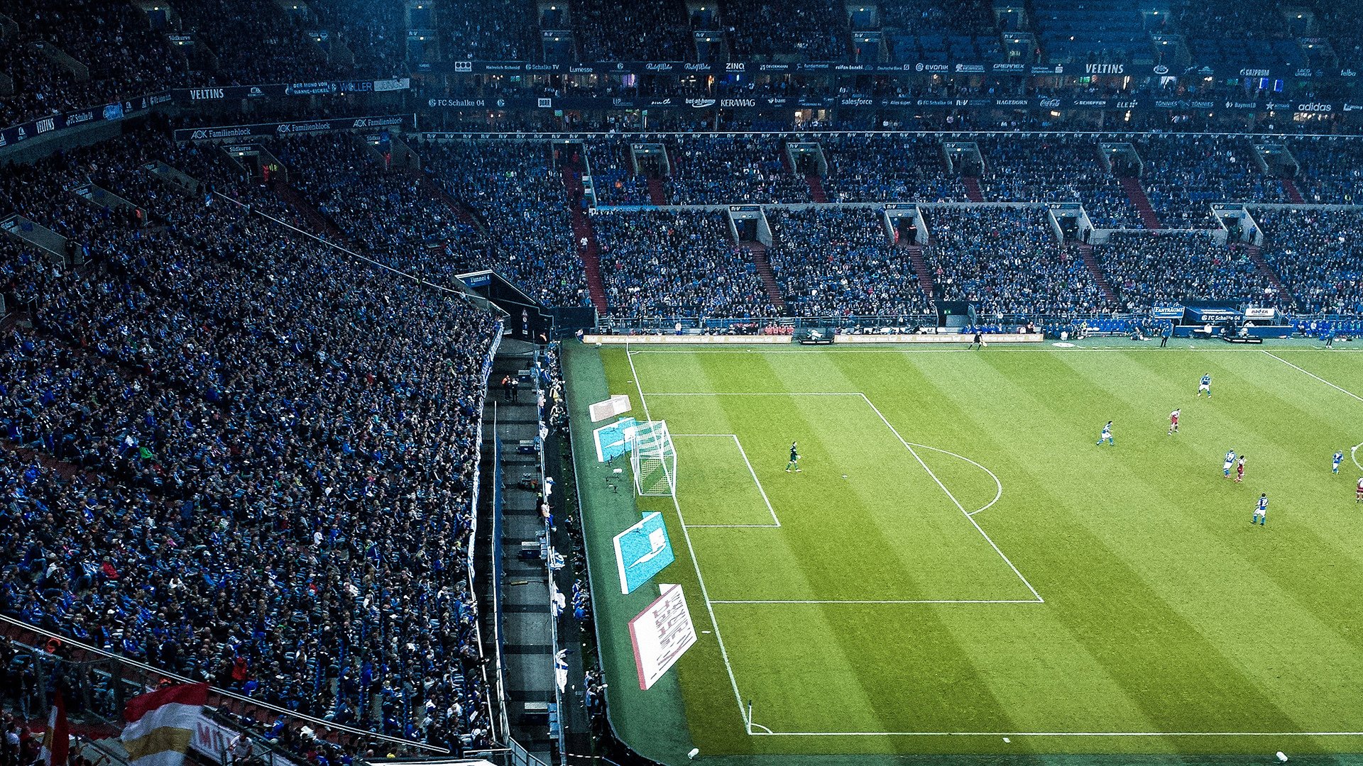 特色野外生存真人秀，竞技、生存与冒险的完美结合，有什么好看的野外生存真人秀